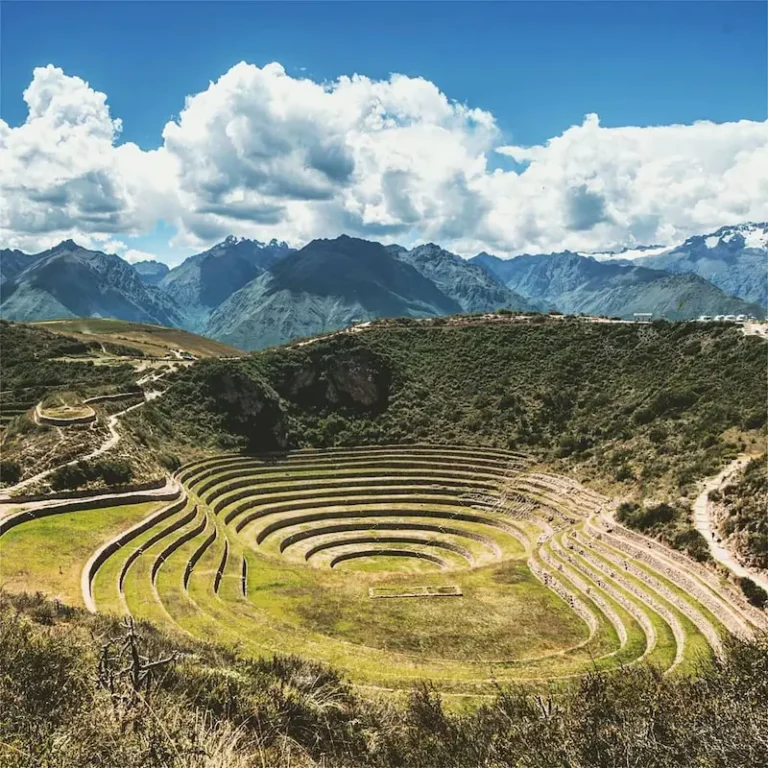 moray