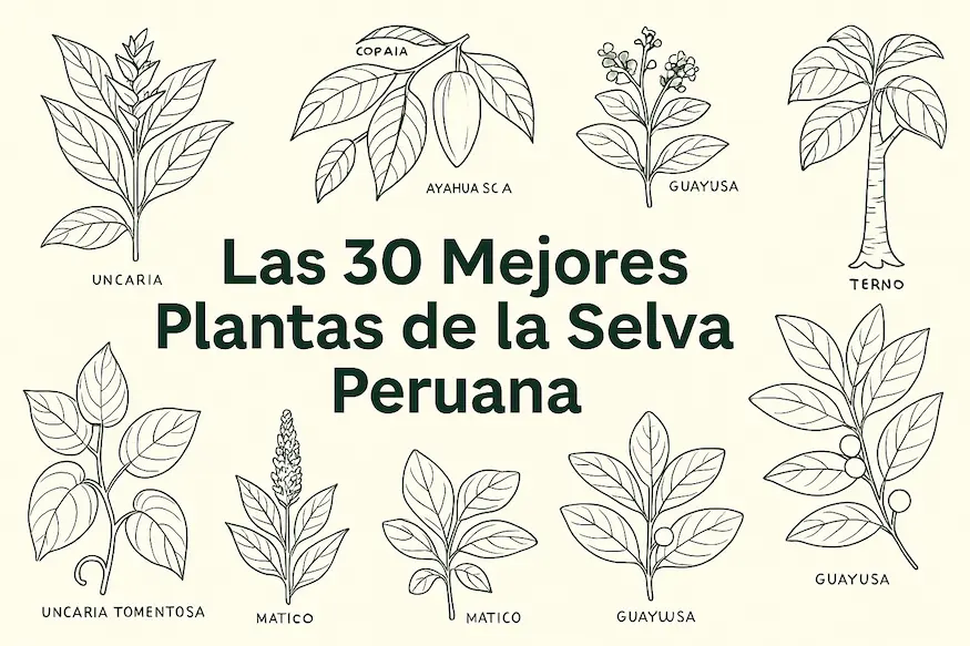 las 30 mejores plantas de la selva peruana