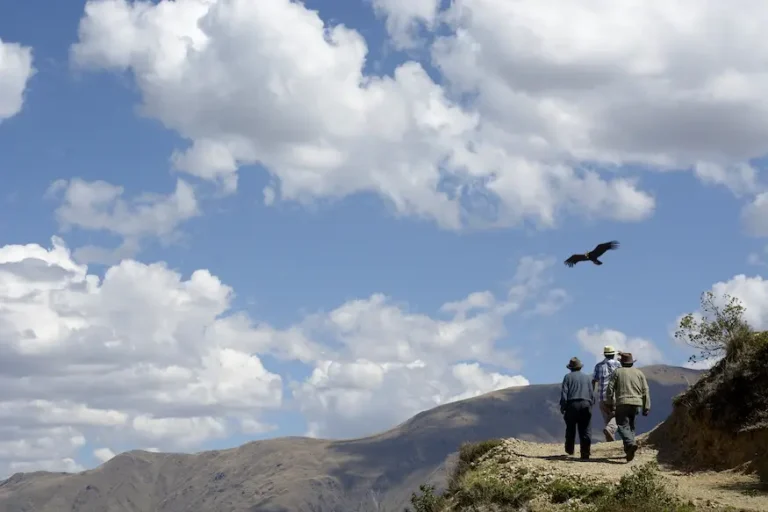 Chonta Condor Viewpoint